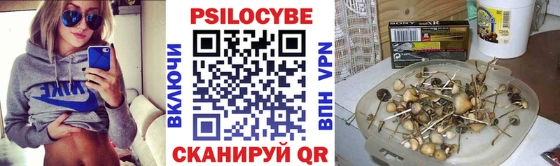 закладки  Чаплыгин  Псилоцибиновые грибы ЛСД 